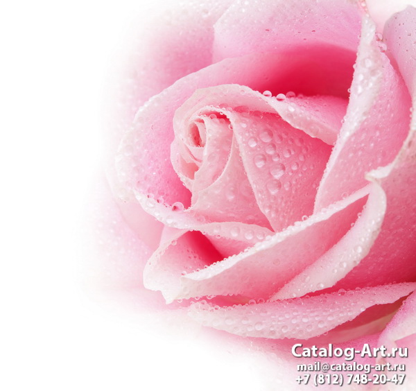 Натяжные потолки с фотопечатью - Розовые розы 63